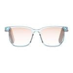 Smart Voice Glasses