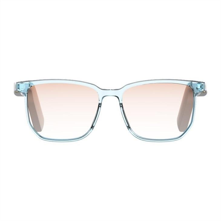 Smart Voice Glasses